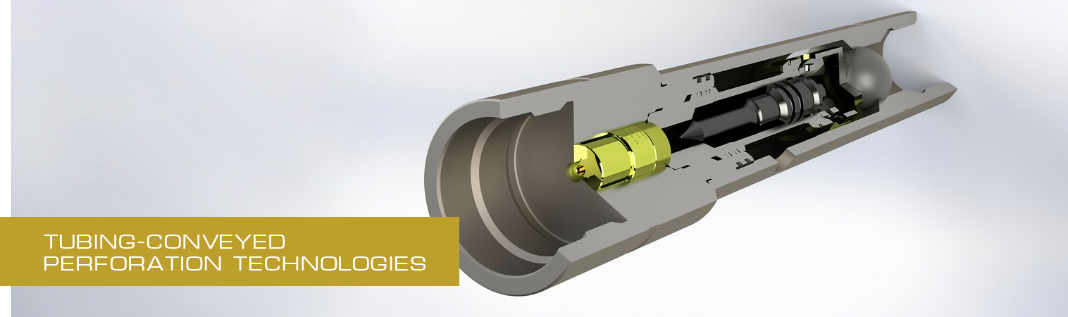 Tubing-conveyed perforation technologies